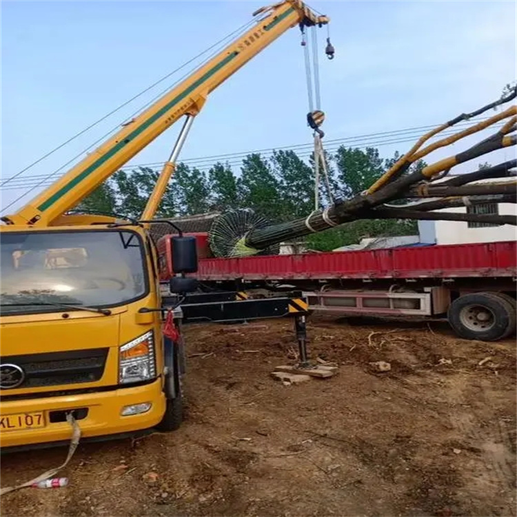 曾都100吨吊车租赁费用怎么算？3大关键因素+省钱技巧全解析